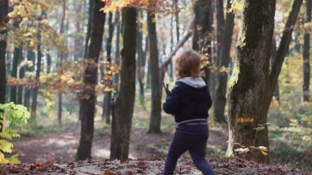 heureux petit enfant, bébé fille rire et jouer à l'automne sur la nature marcher à l'extérieur.