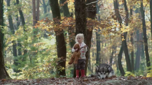 Kız Köpek Güzel Kadın Köpeğiyle Oynuyor Çocuk Köpek Ormandaki Köpekle — Stok video