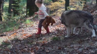 Küçük bir oğlan ve kız doğa, orman, orman. Mutlu bir aile ile köpek ormanda yürüyüş. Mutlu küçük kız düşmüş altın yaprağı ile oynarken iyi eğlenceler