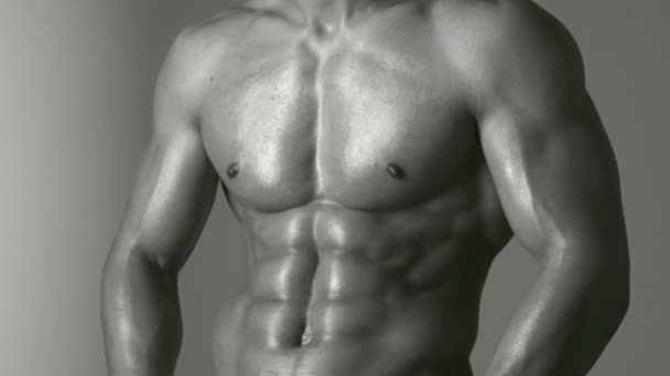 Sportif Musclé Athlète Triceps Caucasien Athlétique Six Pack Muscles Thoraciques — Video