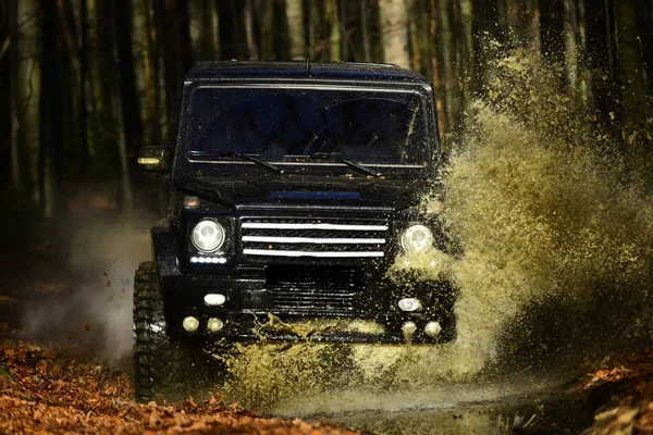 Auto Race Herfst Bos Offroad Race Val Natuur Achtergrond Suv — Stockfoto