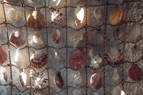 Réseau avec de beaux coquillages comme décor. Pêche, filet de pêche avec coquillages. Décor et concept de mer. Décoration d'intérieur, décoration de murs, beauté naturelle . — Photo