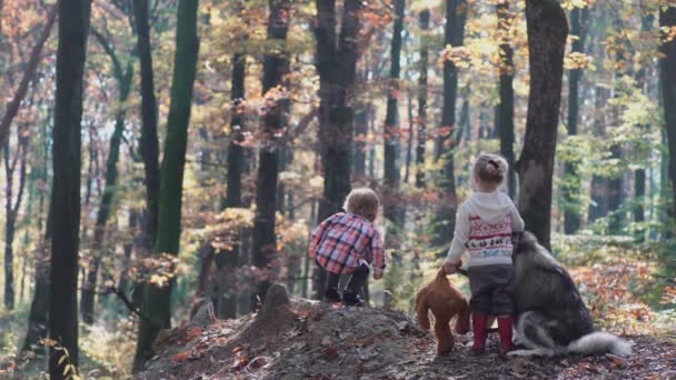 最初が大好きです 森の中の子供たち 森の子どもたち 女の子と男の子の森で遊ぶ 森を歩いている幸せな子供 — ストック動画