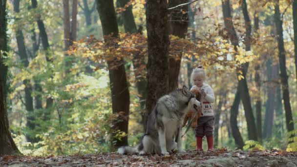 Flicka Och Hund Vacker Kvinna Leker Med Sin Hund Barn — Stockvideo