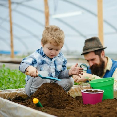 Kutusunda toprak tam oturan sarışın sevimli. Bahçe spade ve zemin yapımı höyüğün oynama ufaklık. Adam uzun sakal ve bıyık şapka ayakta bulanık büyüteç ile.