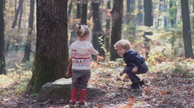 Küçük bir oğlan ve kız doğa, orman, orman. Mutlu bir aile ile köpek ormanda yürüyüş. Mutlu küçük kız düşmüş altın yaprağı ile oynarken iyi eğlenceler
