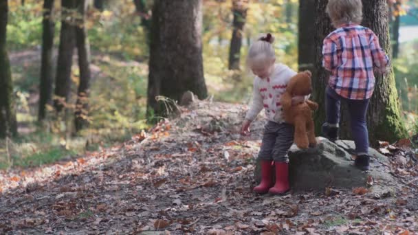 Adorabile Bambina Che Cammina Nella Foresta Giorno Estate Ragazza Felice — Video Stock