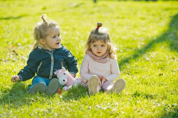 子供たち 姉と弟は 晴れた日におもちゃの馬を遊びます 小児コンセプト 女の子と男の子が緑の草の上に座る — ストック写真