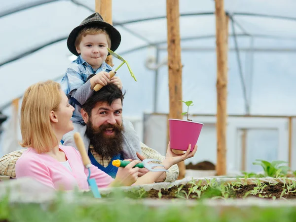 Mutti Mit Gartengabel Und Rosa Blumentopf Umdrehen Während Ihr Bärtiger — Stockfoto