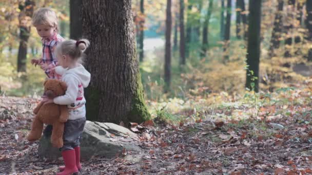 夏の日の森でハイキング愛らしい少女 幸せな子フォレストの女の子 小さな子供は 自然観察の散歩で秋の演奏します 森の中の犬を連れて歩いて幸せな家族 — ストック動画