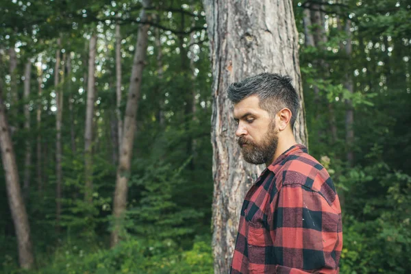 在森林或公园里 一个有思想胡子的男人穿着伐木衫 英俊的徒步旅行者独自享受大自然 积极的生活方式 旅行和孤独的概念 — 图库照片