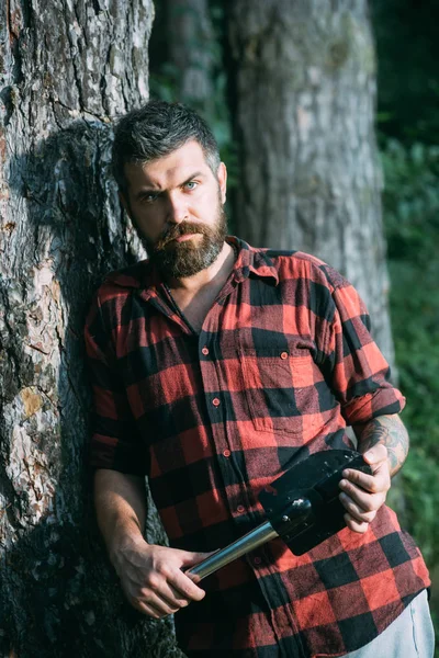 Brutal Lenhador Segurando Pequena Inclinando Árvore Velha Hipster Com Barba — Fotografia de Stock