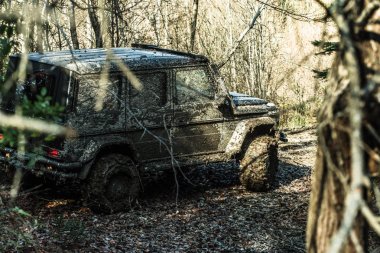 SUV yapraklarla kaplı yolda çamur kaplı. Kirli offroad araba ile orman arka plan üzerine düşmek. Crossover kırsal sürüş. 4 x 4 yarış ve kavram sürüş extreme
