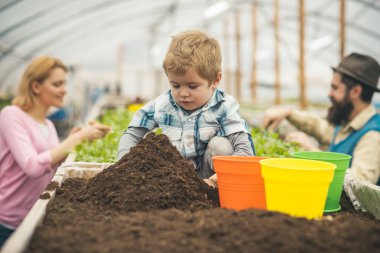 Konsantre çocuk toprak büyük höyük oturuyor. Sevimli çocuk ailesi serada çalışırken yeşil, sarı ve turuncu tencere ile oynamak.