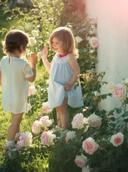 Dos Chicas Sonriendo Florecer Flores Rosas Los Niños Jugando Pastel — Foto de Stock