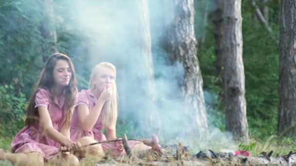两位年轻女子在日落时分在公园野餐时玩得很开心 快乐的人概念 微笑的女朋友 朋友野餐 — 图库视频影像