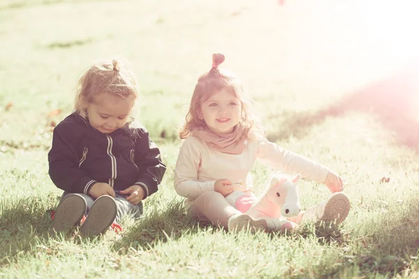 盛んな青年 兄と妹は 晴れた日におもちゃの馬を遊びます 幸せな家庭 小児コンセプト 男の子と女の子は緑の草に花を摘む — ストック写真
