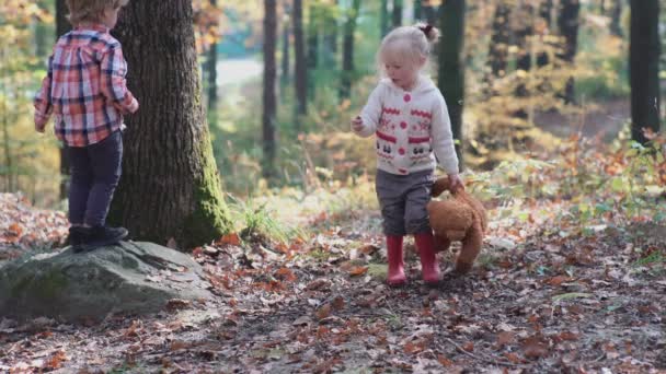 Little Boy Girl Nature Woods Forest Happy Family Walking Dog — Stock Video