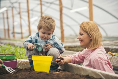 Kürekle oynayan sarışın çocuk yoğunlaşmıştır. Yan görünüm gülümseyen kadın oğlunu yere kutusuyla oturan, bakarken bir avuç toprak holding. Mutlu aile birlikte vakit.