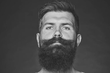 Sakallı bıyıklı gri saçlı adam