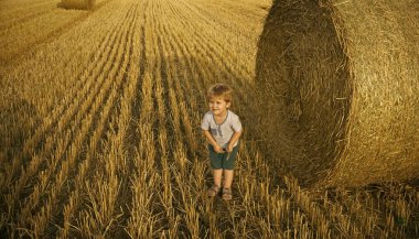 Samanlık alanındaki buğday çocukla