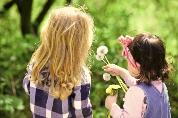 Les enfants cueillent des fleurs de pissenlit au printemps ou en été parc — Photo