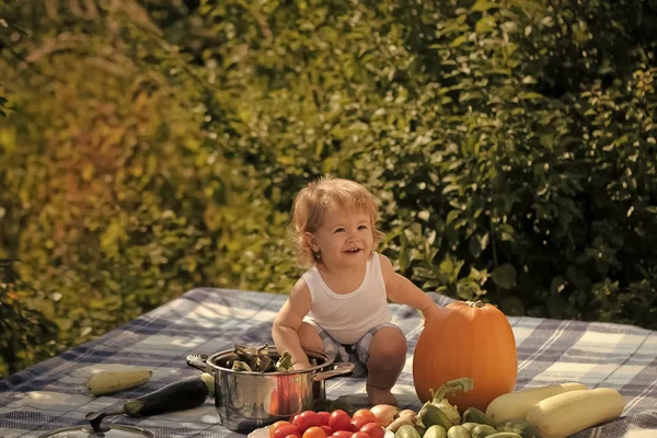 Child at picnic — Stock Photo, Image