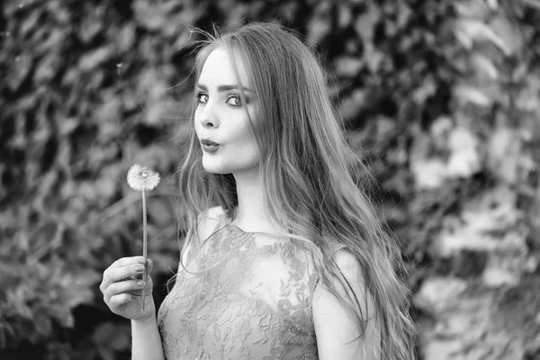 Красивая девушка с цветком одуванчика — стоковое фото