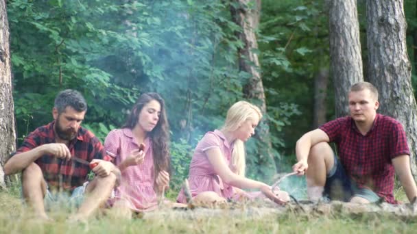 Grupo de amigos haciendo pic-nic en un parque en un día soleado - Gente pasando el rato, divirtiéndose a la parrilla y relajándose. Grupo de amigos relajando el parque en un hermoso día de otoño . — Vídeo de stock