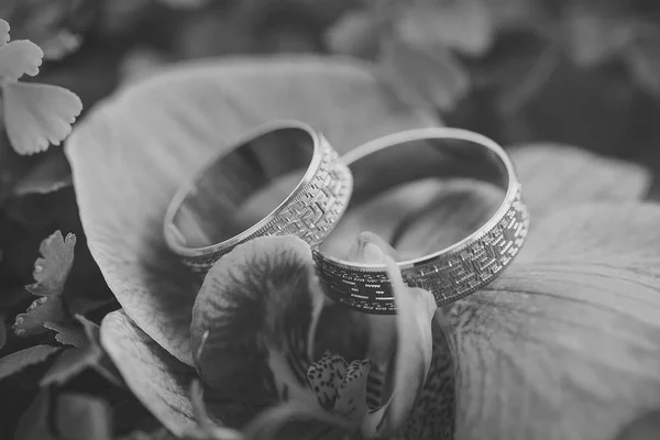 Wedding rings and orchid — Stock Photo, Image