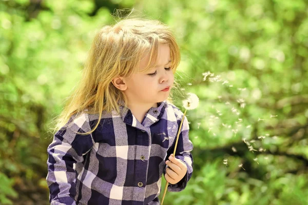 Gyermek csapást pitypang a tavaszi vagy nyári park — Stock Fotó