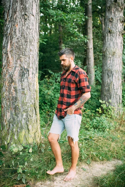 Bärtiger Mann Wald Hipster Mit Langem Bart Auf Naturgrüner Landschaft — Stockfoto