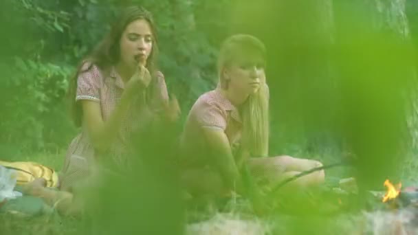 Dos mujeres jóvenes en estilo pin up divirtiéndose en un picnic en el parque al atardecer. Verano, vacaciones, vacaciones, gente feliz concepto - novias sonrientes. Novias en el picnic . — Vídeo de stock