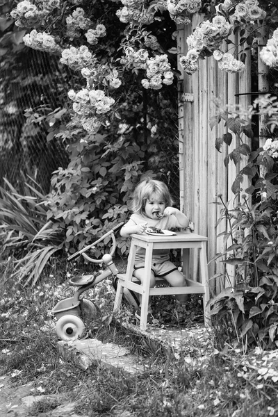 Small boy eating near rose bush — Stock Photo, Image