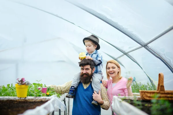 Beaded man in blue vest walking between rows in greenhouse with cute son in fedora hat on his shoulders. Lovely blond lady leaning on her husband — Stock Photo, Image