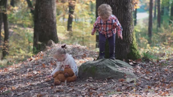 Entzückendes kleines Mädchen, das an einem Sommertag im Wald wandert. glückliches Kind Mädchen im Wald. Kleines Kind spielt im Herbst auf dem Naturspaziergang. glückliche Familie geht mit Hund im Wald spazieren. — Stockvideo