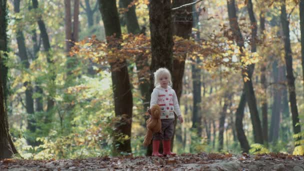 소녀와 개입니다. 아름 다운 여자는 그녀의 강아지와 함께 연주입니다. 아이 고 개. 소녀는 숲에서 강아지와 함께 연주입니다. 숲에서 허스키와 작은 소녀. 소녀는 공원에서 그녀의 허스키와 재생. — 비디오