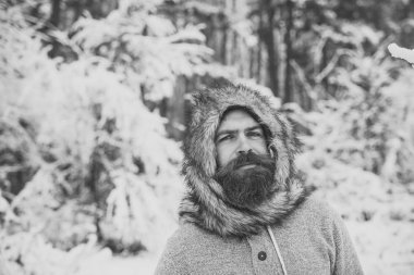 Hipster veya karlı ormandaki termal ceketli sakallı adamı