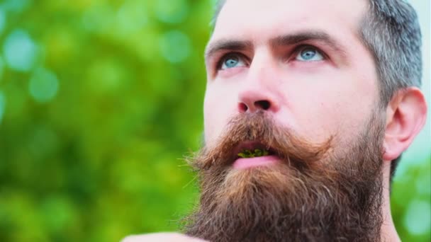 Primer plano de un joven comiendo una fresa. hombre comiendo una fresa como parte de un juego sexual. Joven sosteniendo una fresa y sonriendo . — Vídeos de Stock