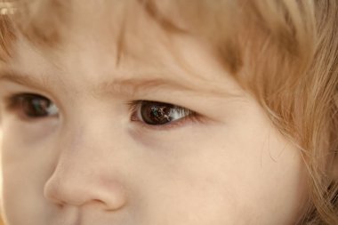 Kahverengi gözleri ve küçük, küçük burun yüz çocuk