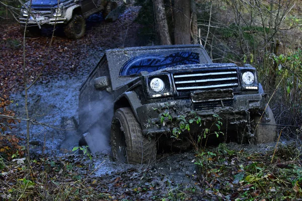 Dirty offroad auto jezdí s překážkami v lesnaté oblasti. — Stock fotografie