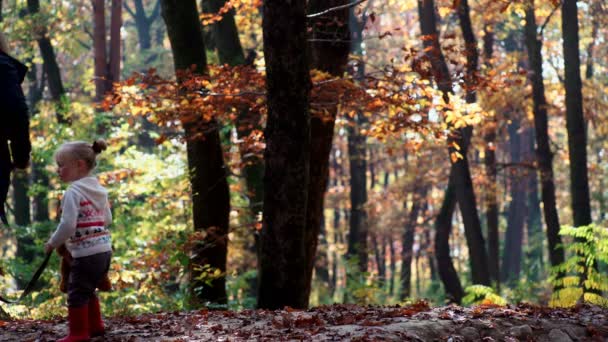 Familia feliz con perro en el bosque. Niño y perro. Niña con perro en el bosque. Chica jugando con su husky en el parque. Familia en el bosque . — Vídeos de Stock