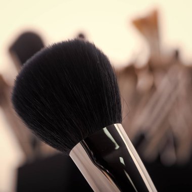 Makyaj fırça portre