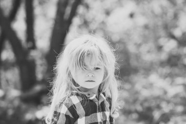 Çocuk Parkı yeşil ağaçlar ile