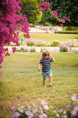 çocuk çocuk üzerinde yürümek çimen çiçekler yakınındaki yaz bardaklarda