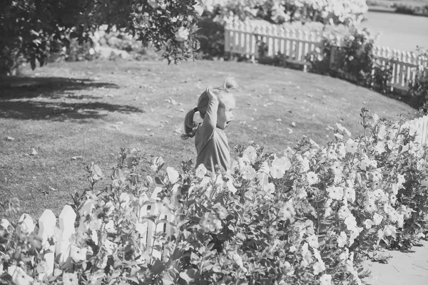 Маленький мальчик стоит на лугу с цветами — стоковое фото