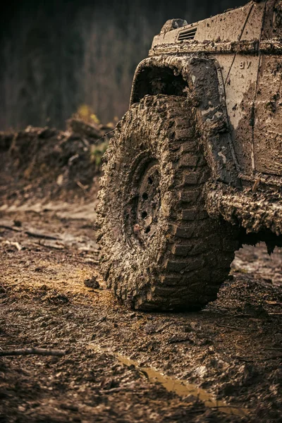 Fragmento de suv con carácter otoñal sobre fondo . —  Fotos de Stock