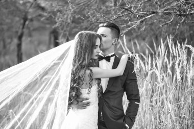 Çift kucaklayan düğün