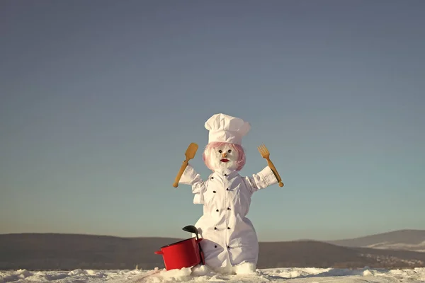 Winter partij en koken. — Stockfoto