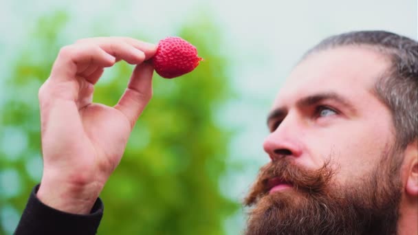 Closeup ενός νεαρού άνδρα που τρώμε μια φράουλα. ο άνθρωπος που τρώει μια φράουλα ως τμήμα της ένα σεξουαλικό παιχνίδι. Νεαρός κρατώντας μια φράουλα και χαμογελαστός. — Αρχείο Βίντεο